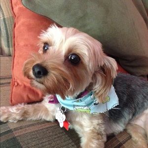 Meet your Posher, Alison